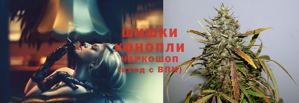 гидропоника Белокуриха