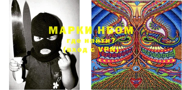PSILOCYBIN Богородицк