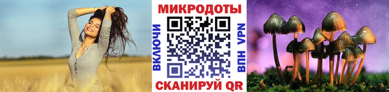 купить   Великий Устюг  hydra tor  Галлюциногенные грибы ЛСД 